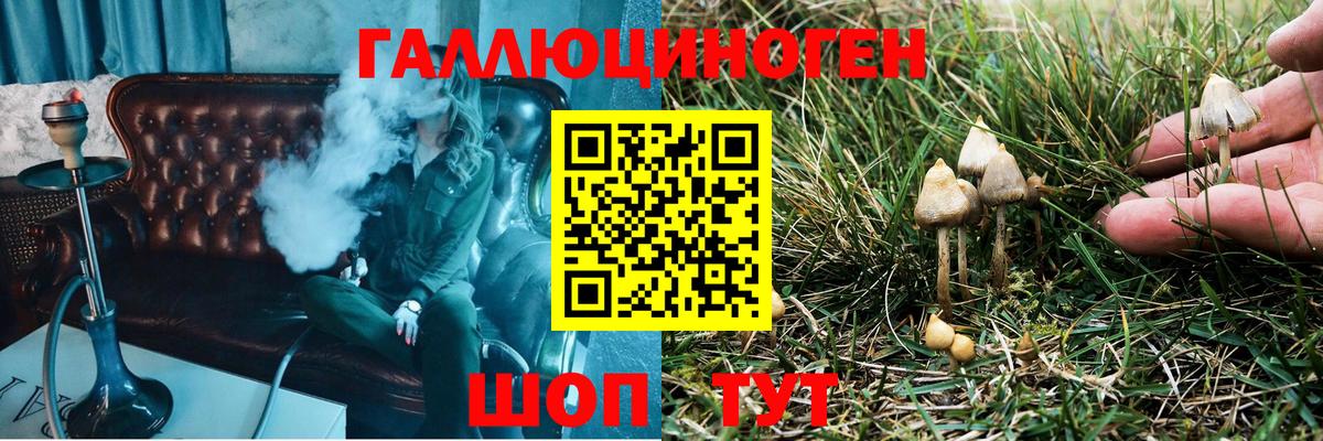 Галлюциногенные грибы MAGIC MUSHROOMS  Вход с VPN  Петропавловск-Камчатский 